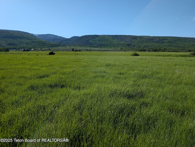 1380 S Sorensen Way, Alta, WY 83414