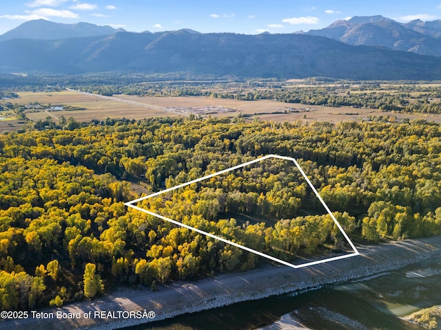 4725 River Hollow Dr, Wilson, WY 83014 - photo 8
