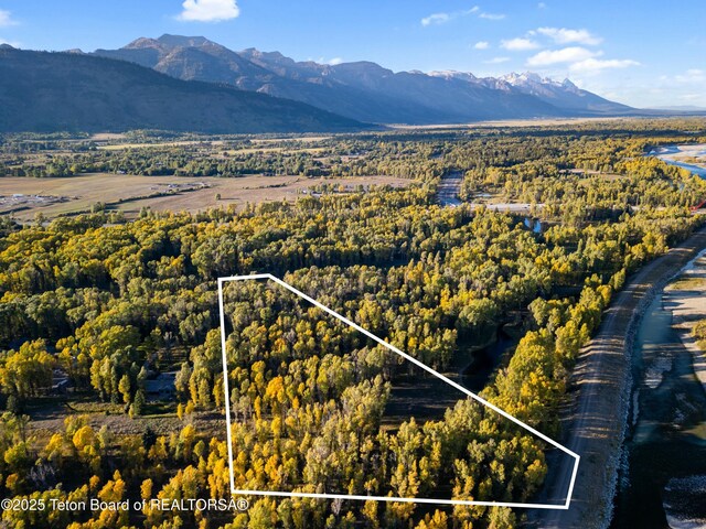 4725 River Hollow Dr, Wilson, WY 83014 - photo 9