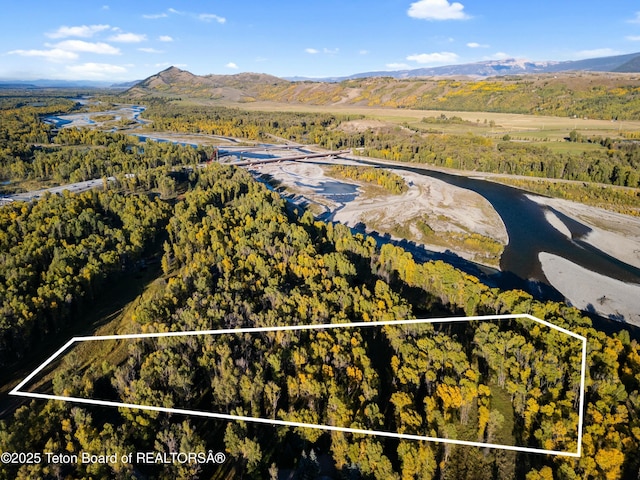4725 River Hollow Dr, Wilson, WY 83014 - photo 10