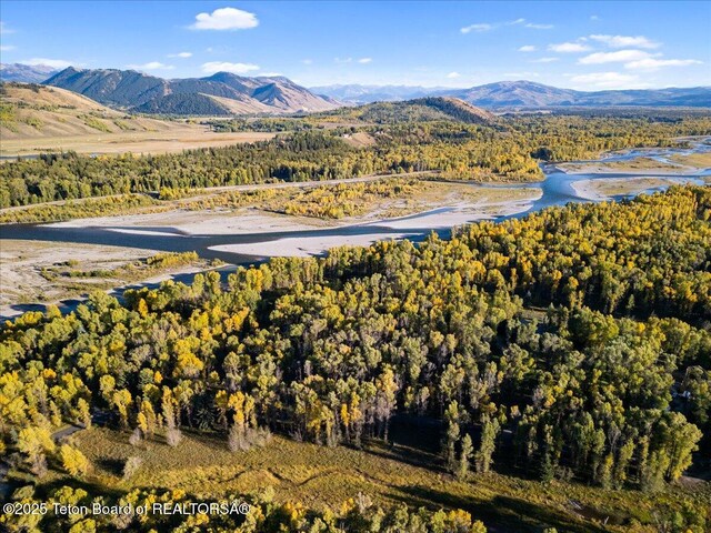 4725 River Hollow Dr, Wilson, WY 83014 - photo 12