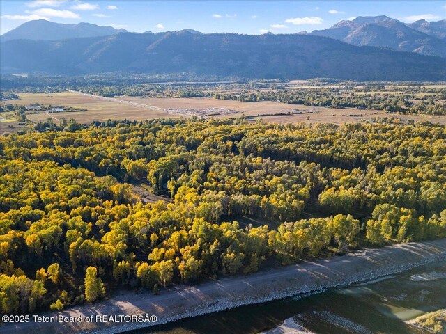 4725 River Hollow Dr, Wilson, WY 83014 - photo 14