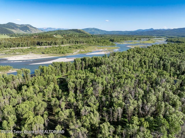 4725 River Hollow Dr, Wilson, WY 83014 - photo 4
