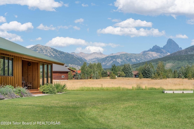 1820 Fall Line Dr, Driggs, ID 83422 - mountain view