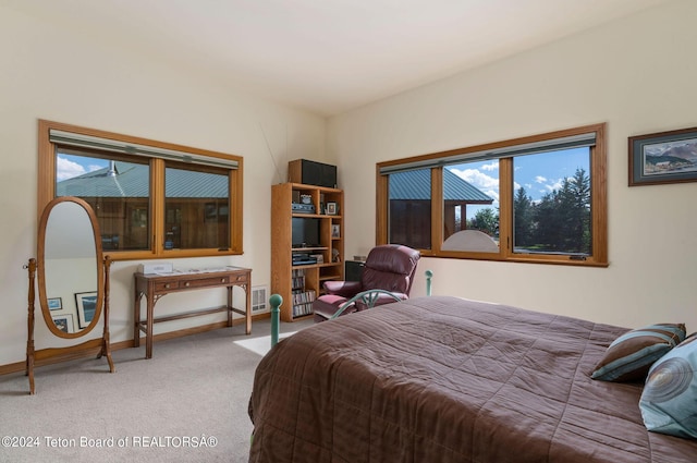 1820 Fall Line Dr, Driggs, ID 83422 - carpeted bedroom featuring visible vents and baseboards