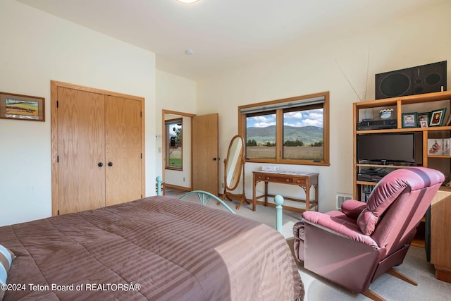 1820 Fall Line Dr, Driggs, ID 83422 - carpeted bedroom with a closet