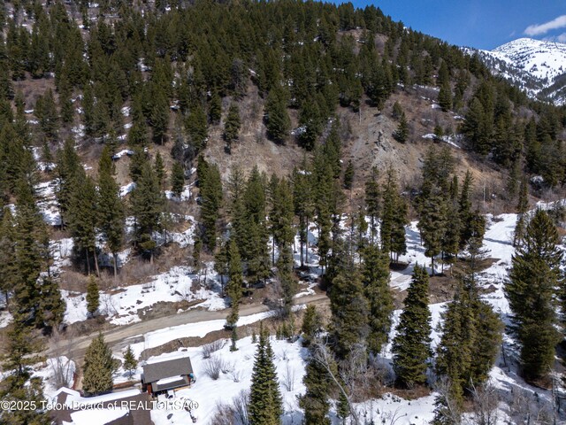 LOT68 Cedar Dr, Star Valley Ranch, WY 83127