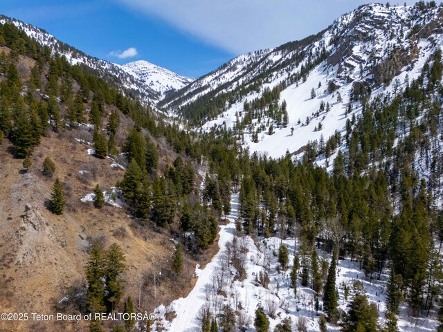LOT68 Cedar Dr, Star Valley Ranch, WY 83127