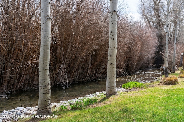 2032 Dandelion Ct, Jackson, WY 83001 - view of undeveloped land
