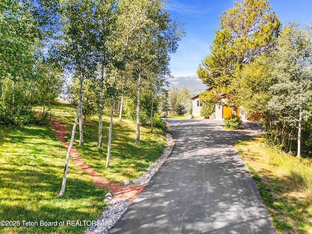 view of road featuring aphalt driveway