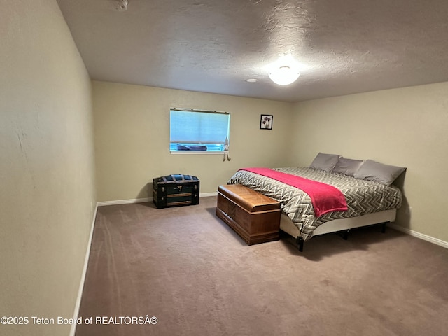 17 C B Ln, Pinedale, WY 82941 - carpeted bedroom with baseboards