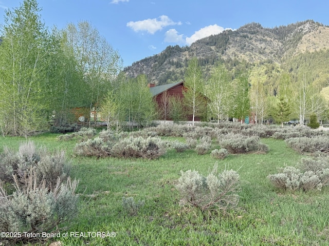 126 Porto Ct, Star Valley Ranch, WY 83127