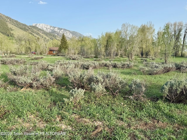126 Porto Ct, Star Valley Ranch, WY 83127
