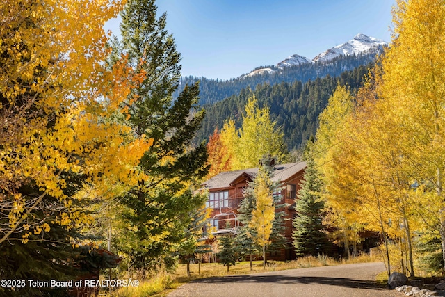 3723 W Michael Dr Unit 13, Teton Village, WY 83025 - view of side of property featuring a chimney, a forest view, and a mountain view
