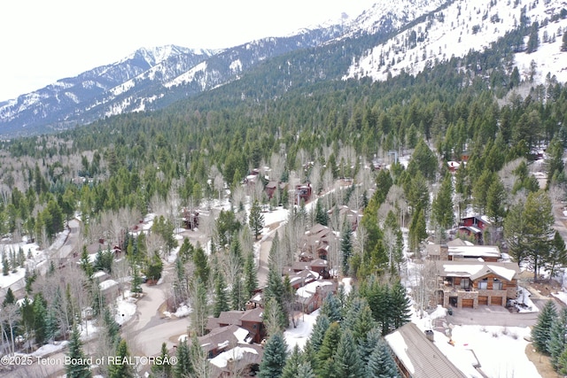 3723 W Michael Dr Unit 13, Teton Village, WY 83025 - bird's eye view with a view of trees and a mountain view