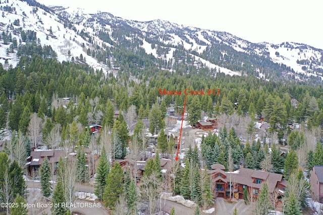 3723 W Michael Dr Unit 13, Teton Village, WY 83025 - birds eye view of property featuring a view of trees and a mountain view
