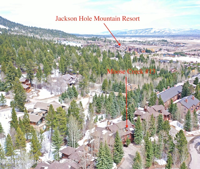 3723 W Michael Dr Unit 13, Teton Village, WY 83025 - birds eye view of property featuring a residential view and a mountain view
