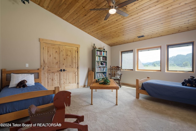 293 Salt River Ranch Ln, Thayne, WY 83127 - photo 39