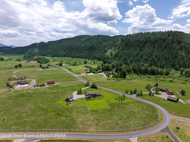 293 Salt River Ranch Ln, Thayne, WY 83127 - photo 49