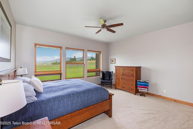 293 Salt River Ranch Ln, Thayne, WY 83127 - photo 31