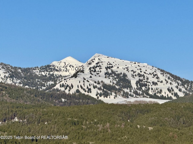2415 Snow Crest Ranch Dr, Driggs, ID 83422