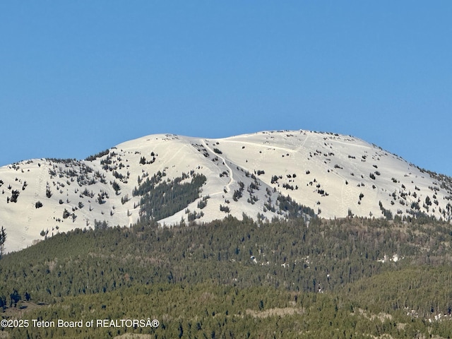 2415 Snow Crest Ranch Dr, Driggs, ID 83422