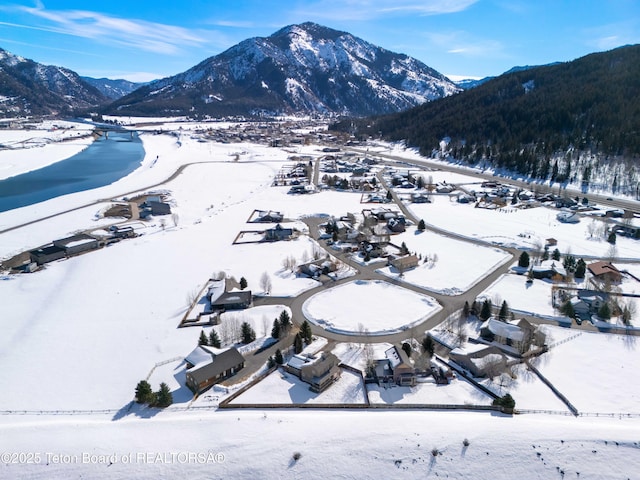 708 Palisades Ln, Alpine, WY 83128 - snowy aerial view with a mountain view