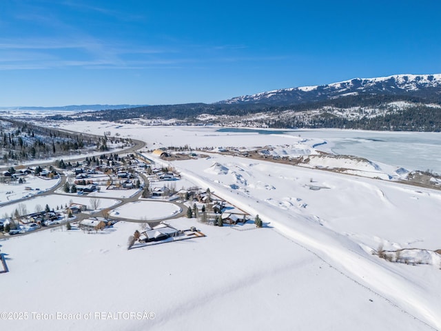 708 Palisades Ln, Alpine, WY 83128 - snowy aerial view featuring a mountain view