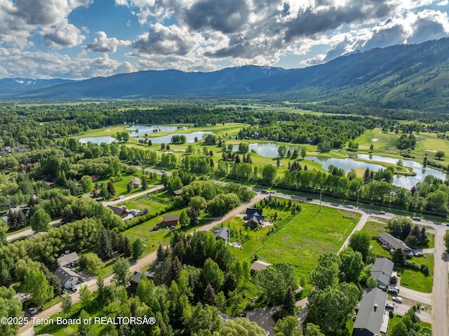 3920 W Zach Ln, Wilson, WY 83014