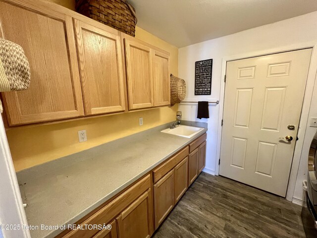 laundry area with cabinet space, dark wood-style floors, and a sink