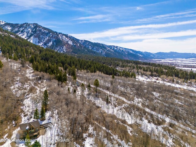 74/75 E Elkhorn Dr, Thayne, WY 83127