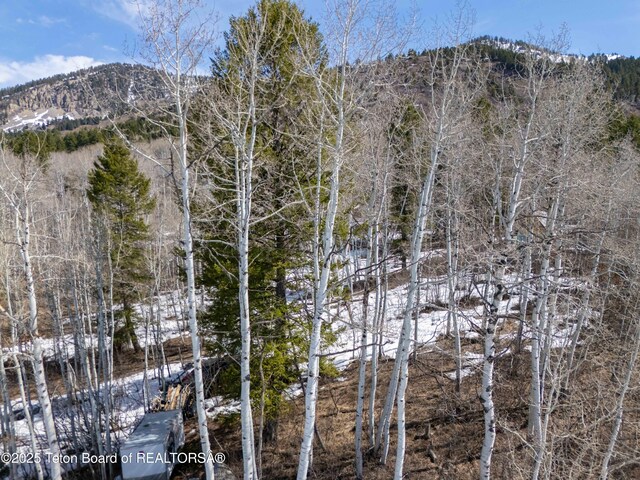 74/75 E Elkhorn Dr, Thayne, WY 83127