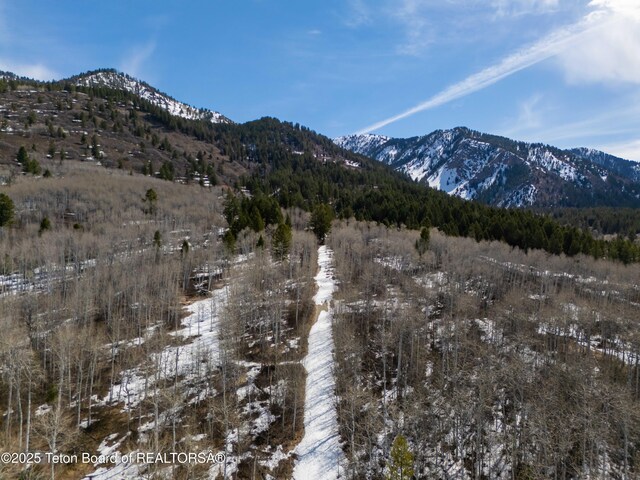 74/75 E Elkhorn Dr, Thayne, WY 83127
