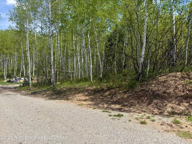 74/75 E Elkhorn Dr, Thayne, WY 83127
