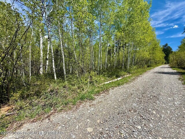 74/75 E Elkhorn Dr, Thayne, WY 83127