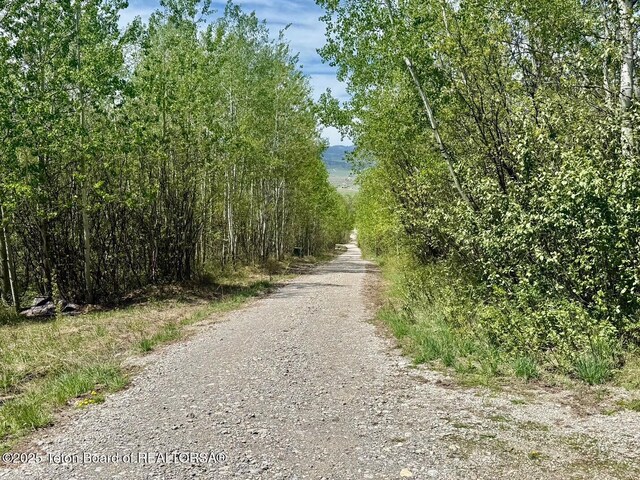 74/75 E Elkhorn Dr, Thayne, WY 83127