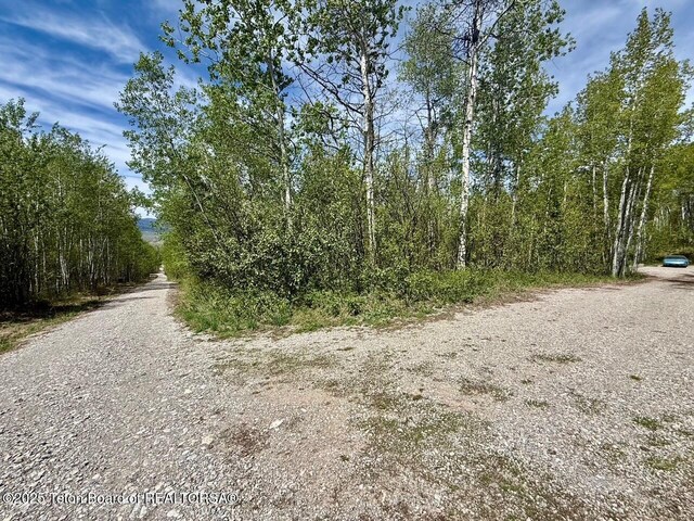 74/75 E Elkhorn Dr, Thayne, WY 83127