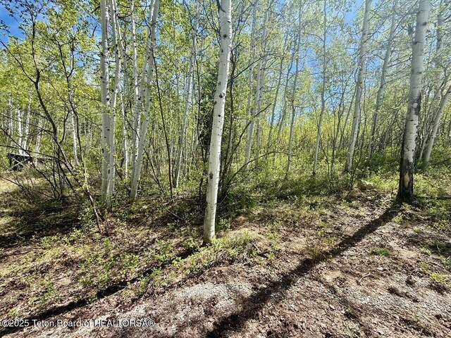 74/75 E Elkhorn Dr, Thayne, WY 83127