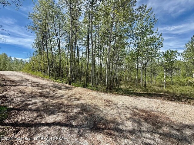 74/75 E Elkhorn Dr, Thayne, WY 83127