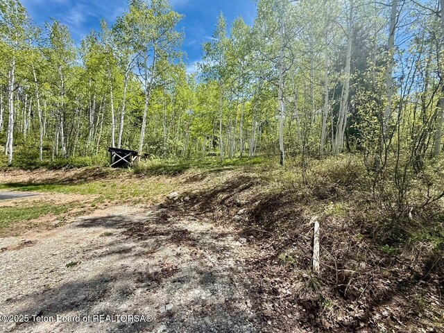 74/75 E Elkhorn Dr, Thayne, WY 83127