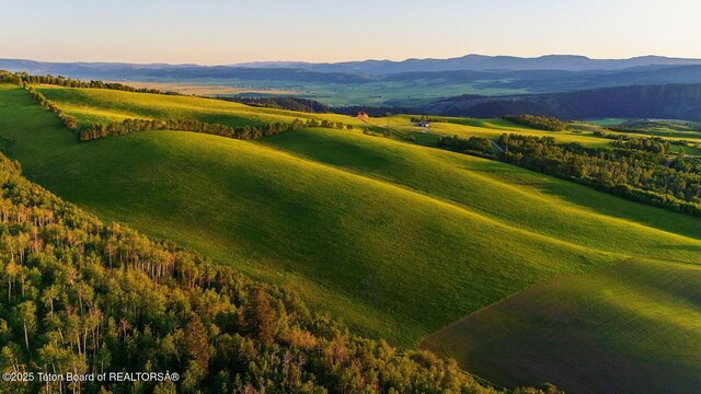 40ACRES Robinson Ln, Bedford, WY 83112 - photo 8