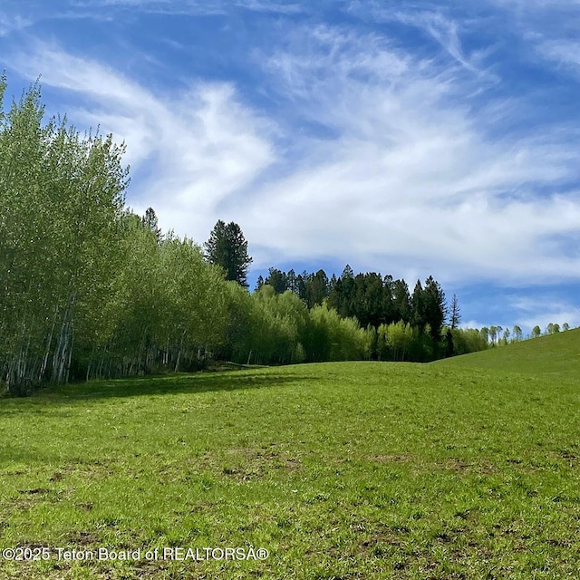 40ACRES Robinson Ln, Bedford, WY 83112 - photo 11