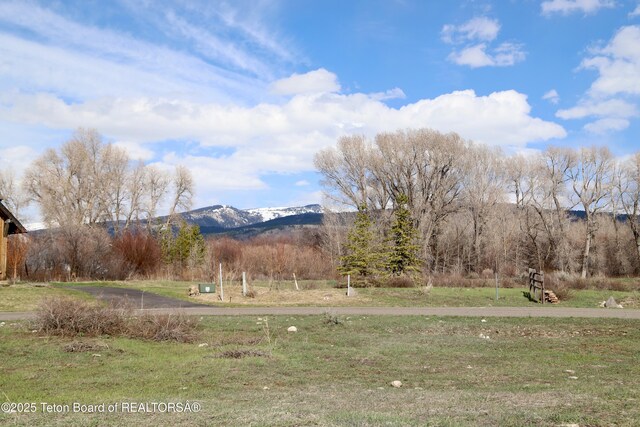 8082 Cutthroat Ln, Victor, ID 83455