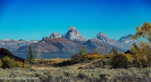 view of mountain feature