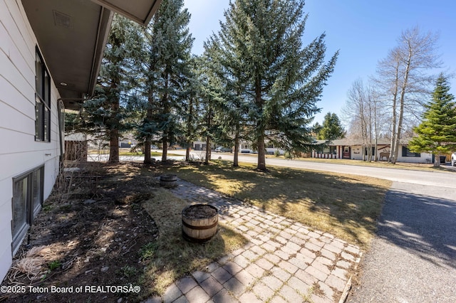 40 Nelson Dr, Jackson, WY 83001 - photo 34