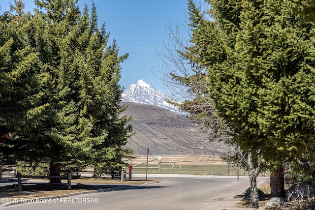 40 Nelson Dr, Jackson, WY 83001 - photo 1