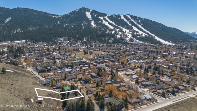 40 Nelson Dr, Jackson, WY 83001 - photo 32