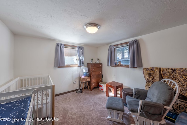 40 Nelson Dr, Jackson, WY 83001 - photo 21