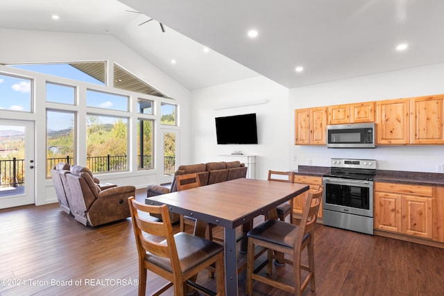 604 Falcon Dr, Alpine, WY 83128 - kitchen featuring dark countertops, open floor plan, appliances with stainless steel finishes, dark wood-style floors, and recessed lighting