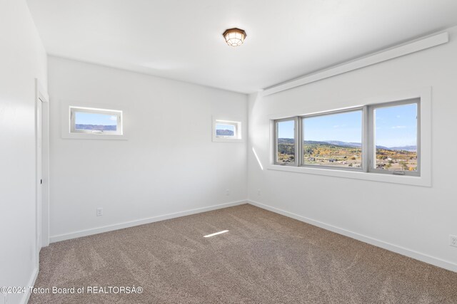 604 Falcon Dr, Alpine, WY 83128 - carpeted empty room featuring baseboards